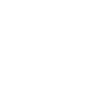 icono-1