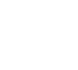 icono-2