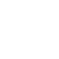 icono-terrestre1
